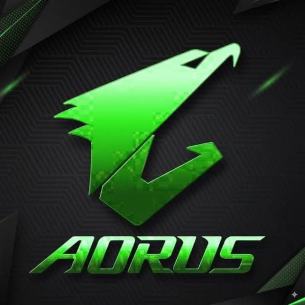 AORUS